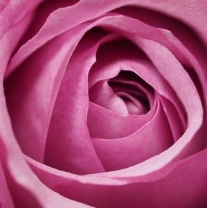 Meet your Posher, Edna